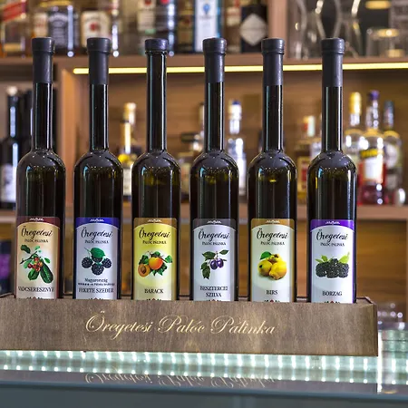 Castellum 4* Hollókő